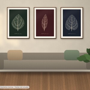 May include: Three framed wall art prints featuring white skeletal leaf illustrations on dark green, deep red, and navy blue backgrounds. Each print displays the text "LEAF STUDY NO. 1", "LEAF STUDY NO. 2", and "LEAF STUDY NO. 3" respectively.