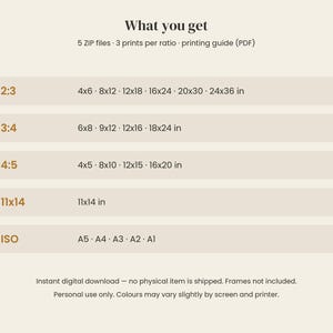Op de afbeelding: Een digitale bestandsinformatiekaart met de titel What you get, met 5 ZIP-bestanden en een printgids. Het toont de beeldverhoudingen 2:3, 3:4, 4:5, 11x14 en ISO-formaten A5 tot A1 met bijbehorende afmetingen in inches en standaarden.
