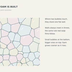 May include: An educational graphic titled HOW FOAM IS BUILT, showing a pattern of pastel pink, blue, and cream bubbles with dark outlines. Text explains that bubbles share flat walls, meet in threes, and grow larger as they rise in the foam.
