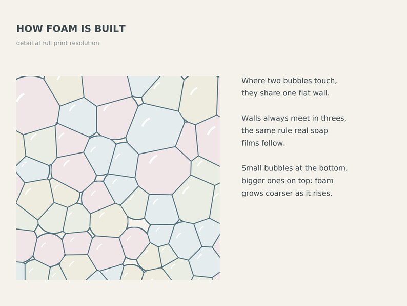 May include: An educational graphic titled HOW FOAM IS BUILT, showing a pattern of pastel pink, blue, and cream bubbles with dark outlines. Text explains that bubbles share flat walls, meet in threes, and grow larger as they rise in the foam.