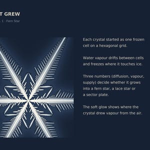 K&ouml;nnte beinhalten: Eine dunkelblaue Infografik mit dem Titel HOW IT GREW, detail of No. 1 Fern Star. Sie zeigt eine wei&szlig;e, sechsstrahlige Schneeflockenillustration und Text zur Kristallbildung, einschlie&szlig;lich der Variablen Diffusion, Dampf und Zufuhr.