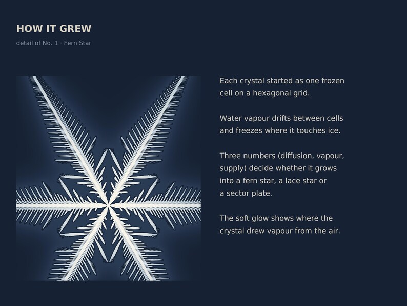 K&ouml;nnte beinhalten: Eine dunkelblaue Infografik mit dem Titel HOW IT GREW, detail of No. 1 Fern Star. Sie zeigt eine wei&szlig;e, sechsstrahlige Schneeflockenillustration und Text zur Kristallbildung, einschlie&szlig;lich der Variablen Diffusion, Dampf und Zufuhr.