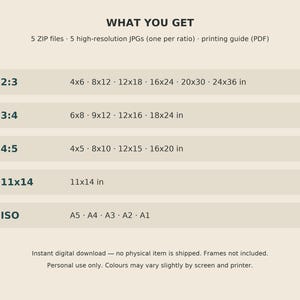 May include: A digital information chart titled WHAT YOU GET listing five ZIP files, five high-resolution JPGs, and a printing guide. It details aspect ratios 2:3, 3:4, 4:5, 11x14, and ISO sizes A5 through A1 in inches and standard paper formats.