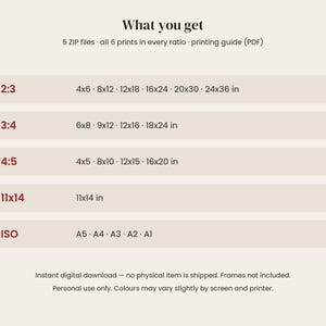 May include: A digital download information chart titled What you get, listing 5 ZIP files, 6 prints in every ratio, and a printing guide. It displays aspect ratios 2:3, 3:4, 4:5, 11x14, and ISO with corresponding dimensions in inches and paper sizes.