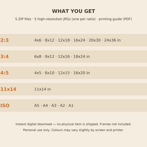 May include: A digital information chart titled WHAT YOU GET listing 5 ZIP files, 5 high-resolution JPGs, and a printing guide. It details aspect ratios 2:3, 3:4, 4:5, 11x14, and ISO with corresponding dimensions in inches and standard paper sizes.