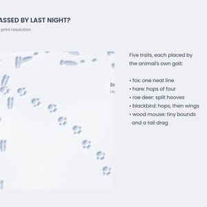 May include: A print titled WHO PASSED BY LAST NIGHT? featuring animal tracks on a white background. Text lists five trails: fox, hare, roe deer, blackbird, and wood mouse, each described by their specific gait and movement patterns.