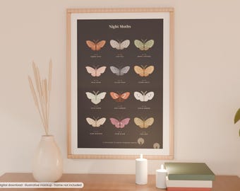 May include: A framed wall art print titled Night Moths featuring a dark grey background with twelve illustrated moth species in various colours, each labelled with its name. The print is displayed in a light wood frame on a wall.