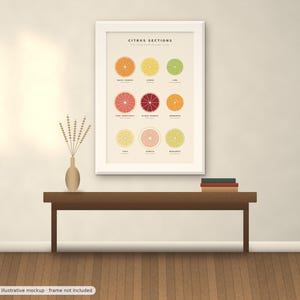 May include: A framed wall art print titled CITRUS SECTIONS featuring a grid of nine colorful illustrations of sliced citrus fruits including orange, lemon, lime, grapefruit, blood orange, mandarin, yuzu, pomelo, and bergamot on a cream background.