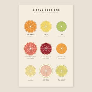 May include: A cream-colored poster titled CITRUS SECTIONS A KITCHEN STUDY IN NINE SLICES. It displays nine circular illustrations of citrus fruits: navel orange, lemon, lime, pink grapefruit, blood orange, mandarin, yuzu, pomelo, and bergamot.