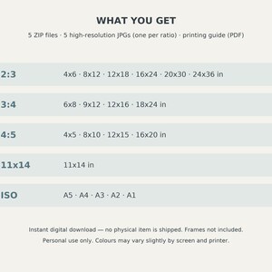 May include: A digital information chart titled WHAT YOU GET listing 5 ZIP files, 5 high-resolution JPGs, and a printing guide. It details aspect ratios 2:3, 3:4, 4:5, 11x14, and ISO with corresponding dimensions in inches and standard paper sizes.