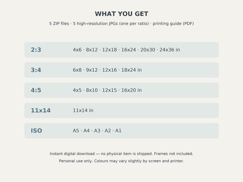 May include: A digital information chart titled WHAT YOU GET listing 5 ZIP files, 5 high-resolution JPGs, and a printing guide. It details aspect ratios 2:3, 3:4, 4:5, 11x14, and ISO with corresponding dimensions in inches and standard paper sizes.