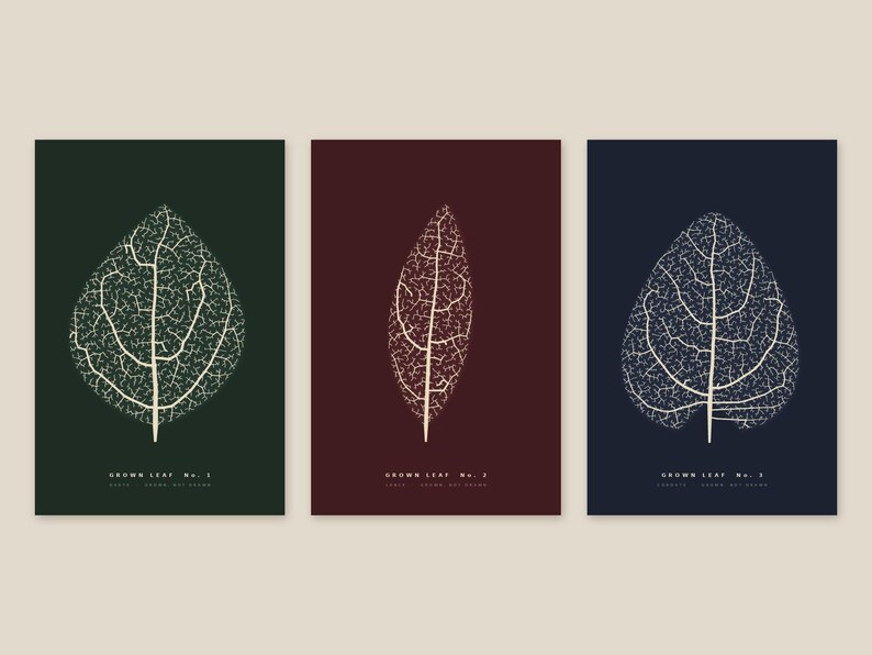 May include: Three rectangular wall art prints featuring white skeletal leaf illustrations. The left print is dark green with text GROWN LEAF No. 1, the center is dark red with GROWN LEAF No. 2, and the right is dark blue with GROWN LEAF No. 3.