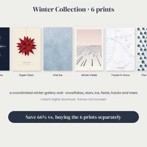 May include: A set of six digital art prints titled Winter Collection, featuring illustrations of a snowflake, a red paper star, ice textures, winter fields, snowy tracks, and a forest of trees with one highlighted tree in the center.