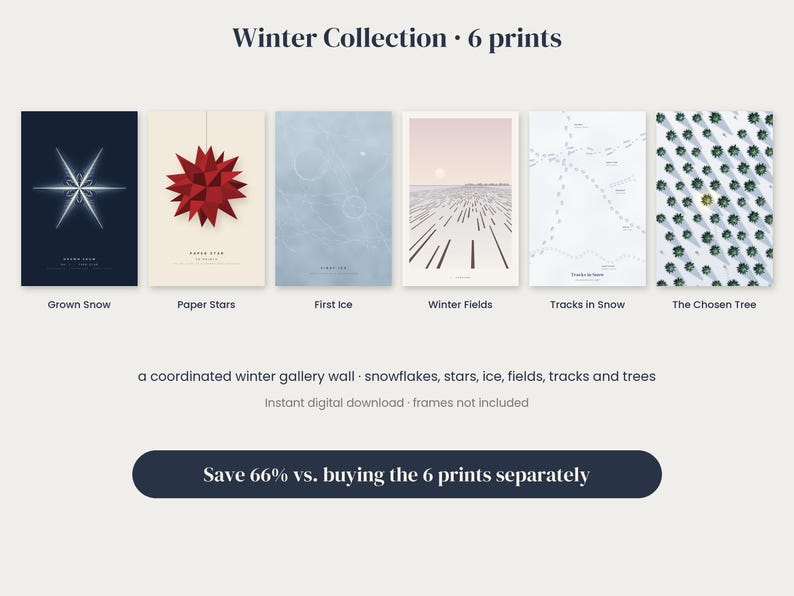 May include: A set of six digital art prints titled Winter Collection, featuring illustrations of a snowflake, a red paper star, ice textures, winter fields, snowy tracks, and a forest of trees with one highlighted tree in the center.