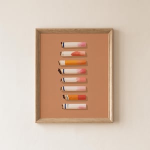 May include: A framed wall art print featuring a vertical arrangement of eight cigarette butts against a solid terracotta background. Each cigarette butt displays varying degrees of burn, ash, and filter colors, including white, orange, and blue bands.