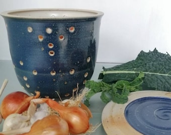 Boîte De Conservation Pour Oignon Frais - Plastique, Pour Réfrigérateur (neuf)