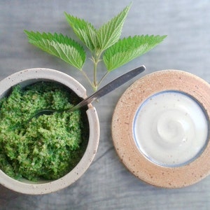 Op de afbeelding: Een witte keramische kom gevuld met groene pesto, een zilveren lepel ligt erop. Een takje verse groene brandnetelbladeren ligt naast de kom.