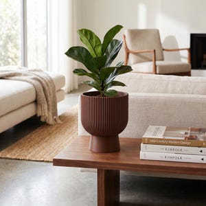 May include: A dark brown, vertically ribbed cylindrical planter with a pedestal base, containing a green fiddle leaf fig plant. The planter sits on a wooden table next to a stack of three books titled Mid-Century Modern Design and The Kinfolk.