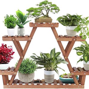 Può includere: Un supporto per piante in legno a più livelli con una struttura triangolare, dotato di sei ripiani orizzontali disposti a diverse altezze. Il supporto ospita nove piante in vaso, tra cui un bonsai, fogliame verde e una piccola pianta rossa.