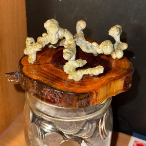 May include: A clear glass jar filled with various silver and copper-colored coins. The jar is topped with a circular, polished wood slice lid featuring a rough, textured, light-colored organic branch-like structure attached to the top surface.
