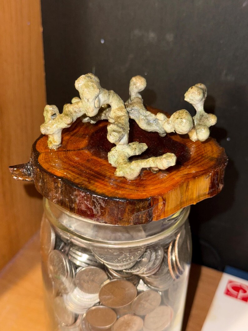 May include: A clear glass jar filled with various silver and copper-colored coins. The jar is topped with a circular, polished wood slice lid featuring a rough, textured, light-colored organic branch-like structure attached to the top surface.
