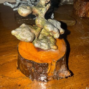 May include: A sculptural object featuring a textured, multi-lobed, greenish-brown mineral formation mounted atop a circular, polished wooden base with visible bark edges and a warm, reddish-brown wood grain finish.