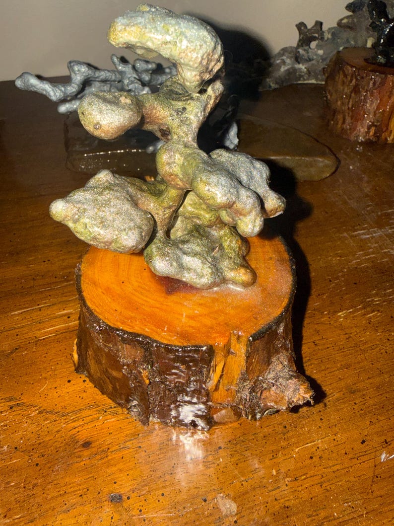 May include: A sculptural object featuring a textured, multi-lobed, greenish-brown mineral formation mounted atop a circular, polished wooden base with visible bark edges and a warm, reddish-brown wood grain finish.