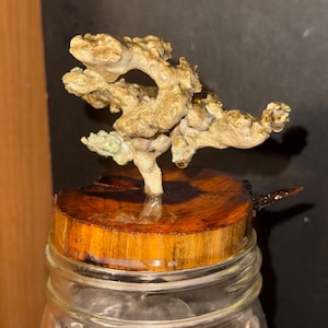 May include: A clear glass jar filled with silver coins, topped with a circular wooden lid. Attached to the center of the wood is a textured, beige, organic-shaped sculpture that resembles a small, gnarled tree or coral formation.