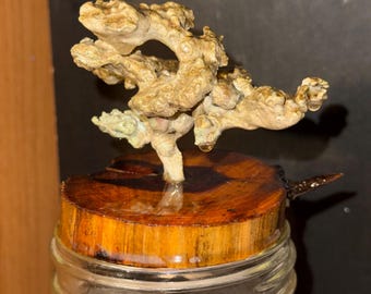 Anthill casting