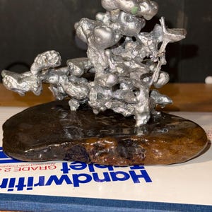 Anthill casting image 6