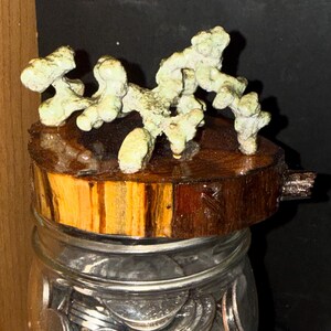 Anthill casting image 3