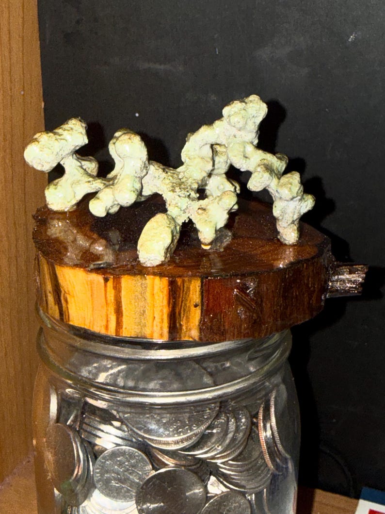 Anthill casting image 3