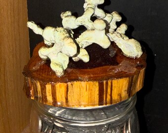 Anthill casting