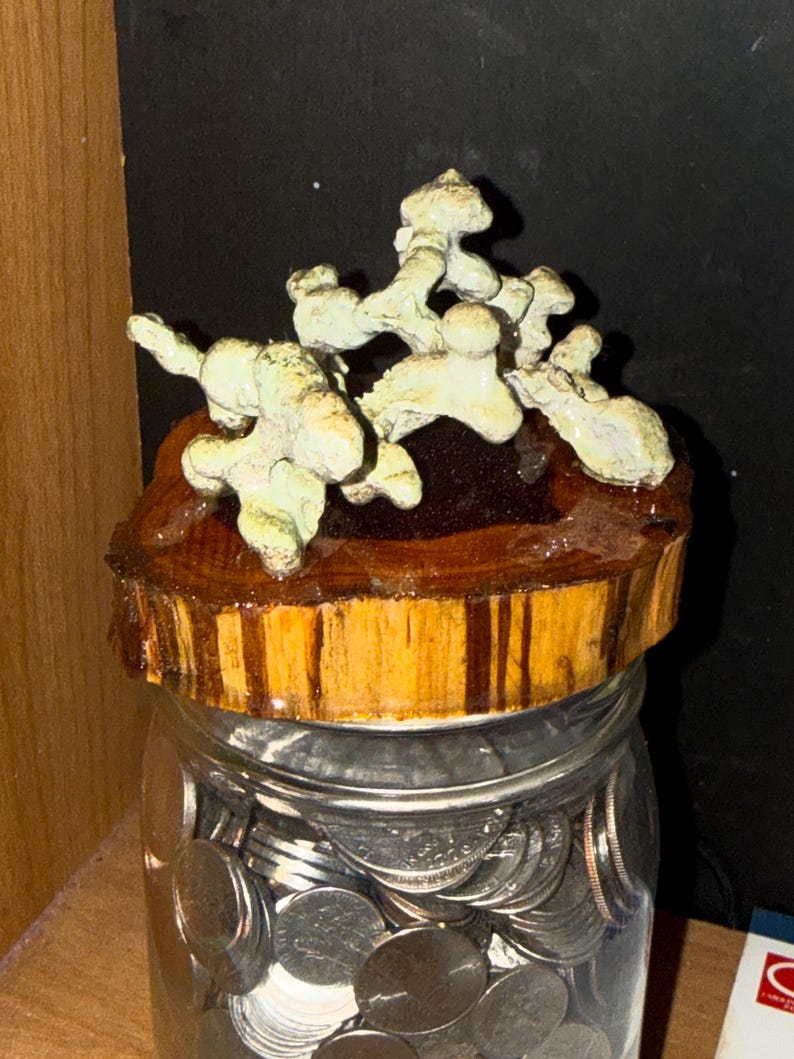 May include: A clear glass jar filled with silver-colored coins, topped with a circular wooden lid. The lid features a textured, pale green, branching coral-like sculpture attached to its dark brown, polished wooden surface.