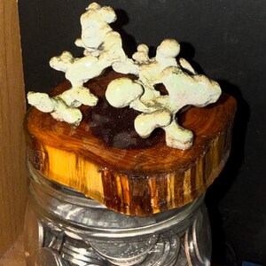 May include: A clear glass jar filled with silver coins, topped with a thick, circular wooden slice featuring a natural bark edge. Resting on the wood is an abstract, pale green, textured ceramic sculpture with multiple rounded, organic protrusions.