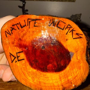 May include: A circular slice of wood with a polished, glossy finish. The wood features a dark reddish-brown center surrounded by lighter orange rings. The text "NATURE WORKS" and the initials "DE" are burned into the surface in black ink.