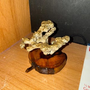 Anthill casting image 7