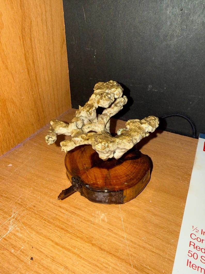 Anthill casting image 7