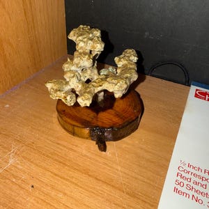 May include: A decorative sculpture featuring a textured, beige, coral-like formation mounted on a circular, polished wooden base with visible grain. The object is positioned next to a white paper document with red text that mentions 1/2 Inch.