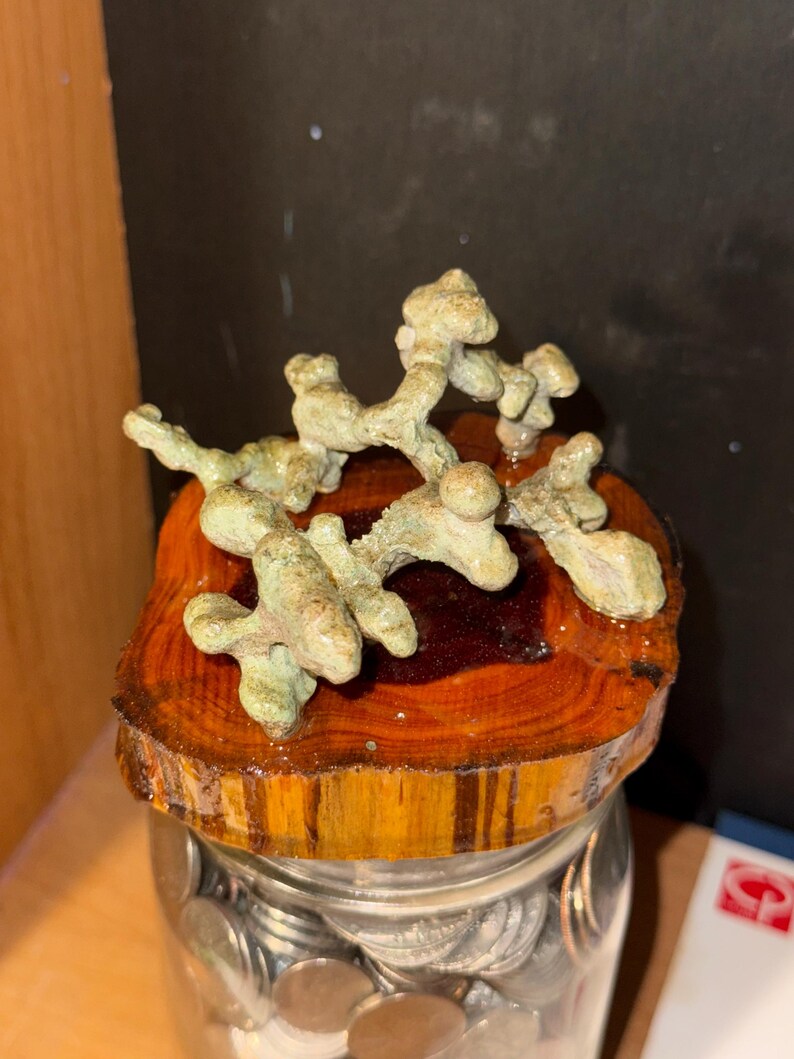 May include: A clear glass jar filled with metallic coins, topped with a polished circular wood slice lid. Resting on the wood is a textured, light green, branching mineral formation with multiple rounded nodes and irregular, organic protrusions.
