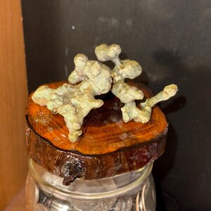 May include: A clear glass jar filled with silver-colored coins, topped with a circular wooden lid featuring a natural bark edge. Resting on the lid is a textured, light green, irregular mineral specimen with multiple rounded protrusions.