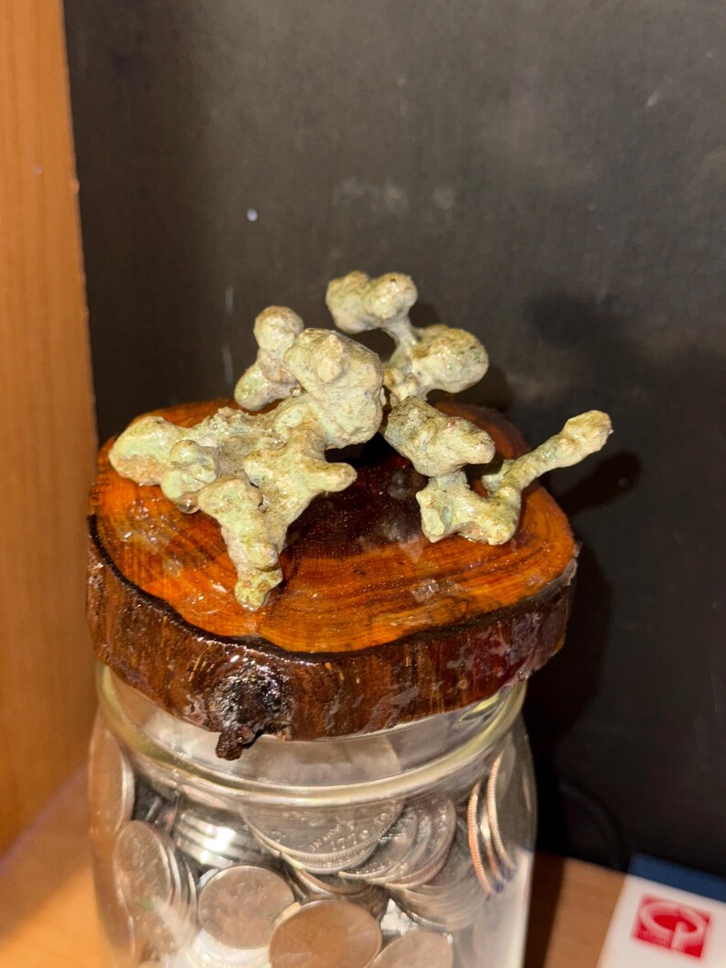 May include: A clear glass jar filled with silver-colored coins, topped with a circular wooden lid featuring a natural bark edge. Resting on the lid is a textured, light green, irregular mineral specimen with multiple rounded protrusions.