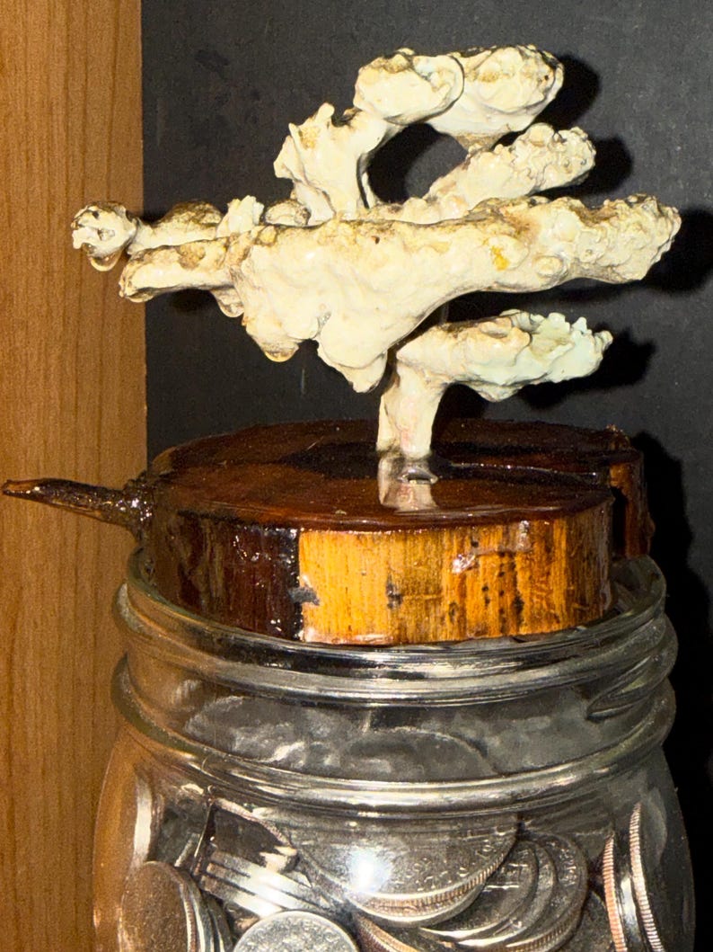 May include: A clear glass jar filled with silver coins, topped with a circular wooden lid featuring a dark brown bark edge. Mounted on the center of the lid is an off-white, textured, branching coral-like sculpture with a glossy, resin-coated finish.