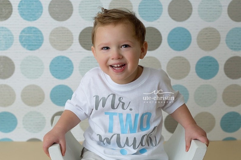 2nd Birthday Shirt Boy 2nd Birthday Outfit Boy Two Year Old Etsy