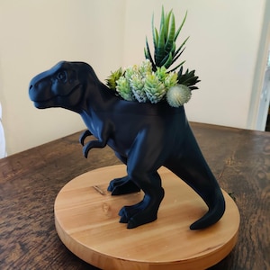 May include: A matte black T-Rex dinosaur planter featuring a hollow back cavity filled with an assortment of small, green, and light-tipped artificial succulent plants. The dinosaur figure stands on its two hind legs with a long tail.