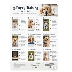 May include: A white informational poster titled Puppy Training Guide featuring a golden retriever puppy at the top. The chart includes nine numbered sections with photographs of puppies and text instructions for house training, commands, and socialisation.