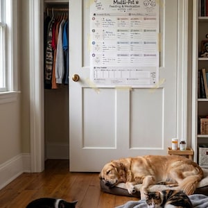 Registro per la cura di più animali domestici, con informazioni su alimentazione e somministrazione di farmaci, ideale per famiglie impegnate, famiglie affidatarie e pet sitter (download digitale)