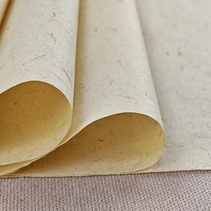 Könnte beinhalten: Ein Bogen hellcremefarbenes Papier mit einer sichtbaren faserigen Textur. Das Papier hat ein natürliches, unebenes Aussehen mit kleinen, dunkelbraunen organischen Flecken, die in die Oberfläche eingearbeitet sind, und wirkt weich und halbtransparent.