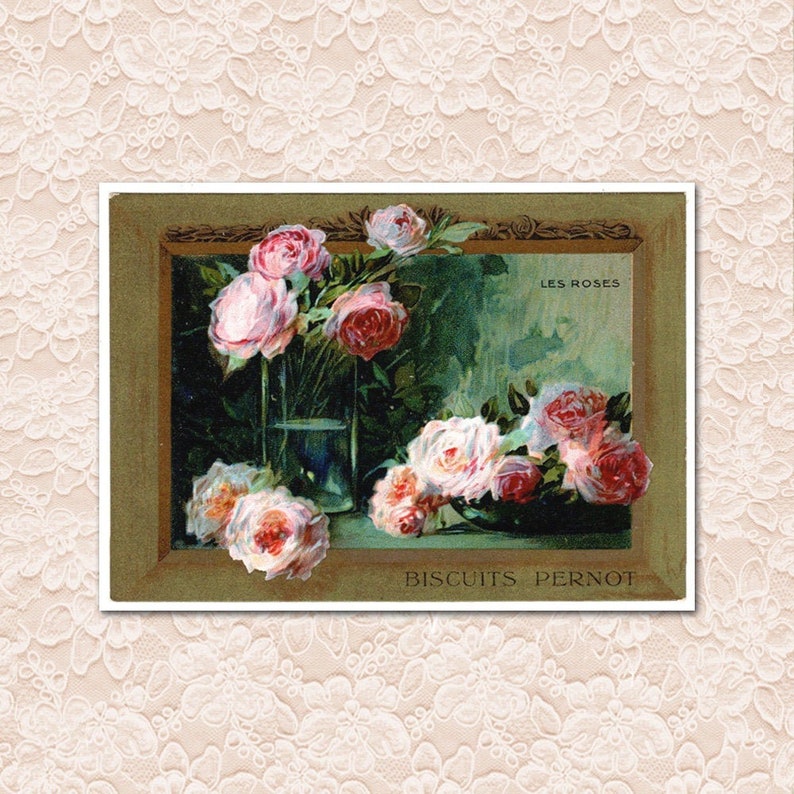 Splendid Pink Roses Biscuits Pernot Antique Victorian Trade Card