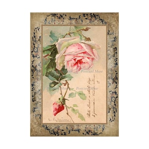Shabby Pink Rose By Klein Antique Image Cotton Fabric Sample Quilt Block Panel Sewing Applique